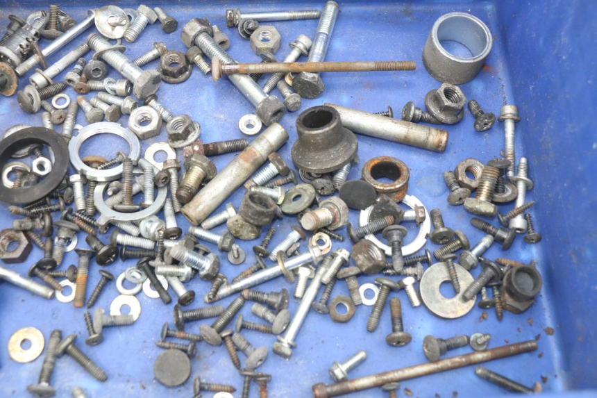 photo de BOLSA DE TORNILLERÍA TORNILLO PIAGGIO X9 EVOLUTION 250 (2003 - 2007) - Detalle de la pieza