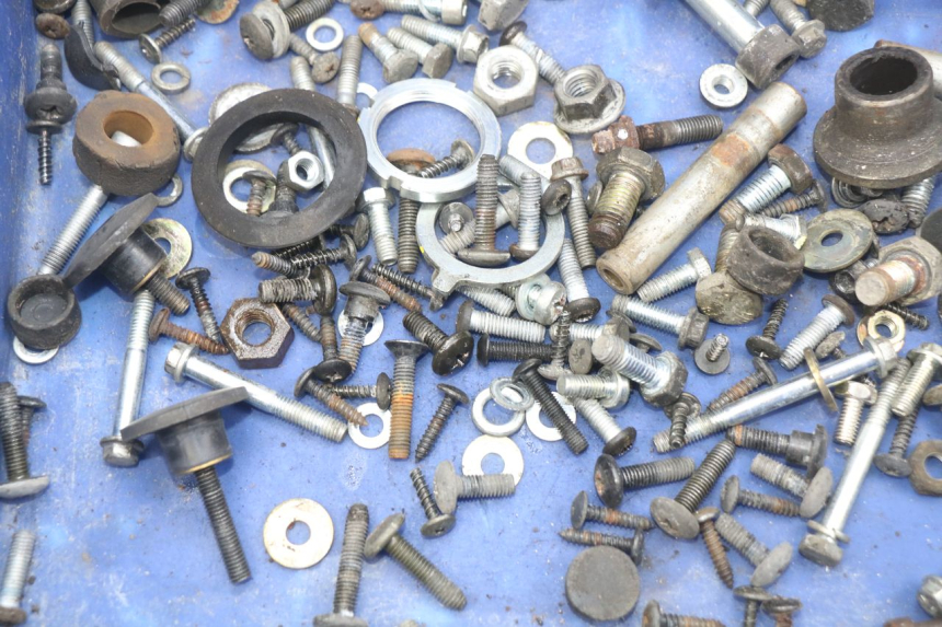 photo de BOLSA DE TORNILLERÍA TORNILLO PIAGGIO X9 EVOLUTION 250 (2003 - 2007) - Zoom estado de uso