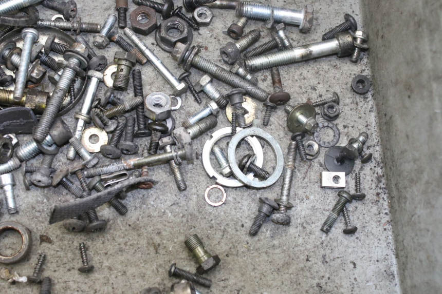 photo de BOLSA DE TORNILLERÍA TORNILLO PIAGGIO X9 EVOLUTION 250 (2003 - 2007) - Detalle de la pieza