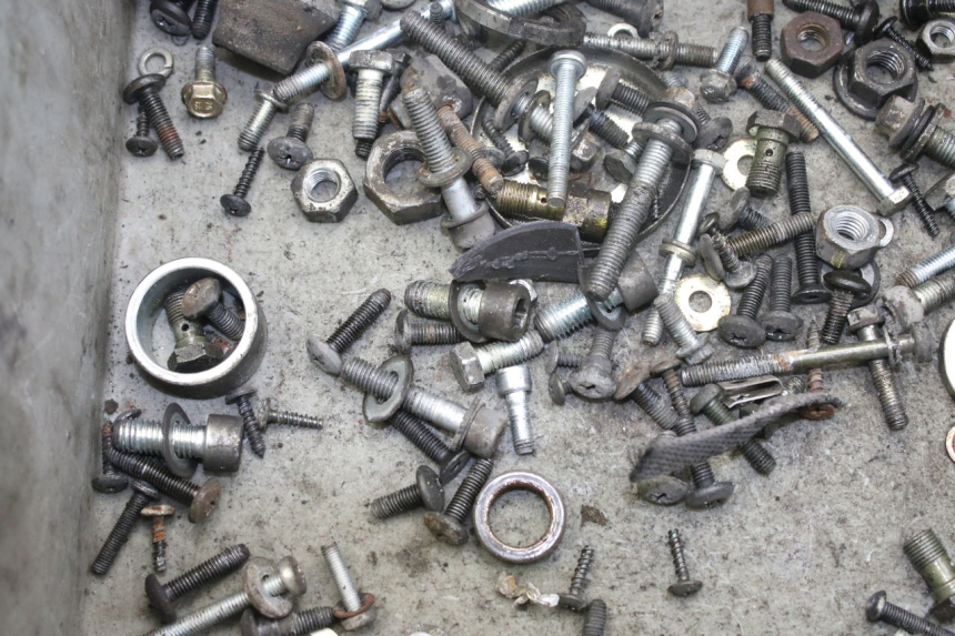 photo de BOLSA DE TORNILLERÍA TORNILLO PIAGGIO X9 EVOLUTION 250 (2003 - 2007) - Zoom estado de uso