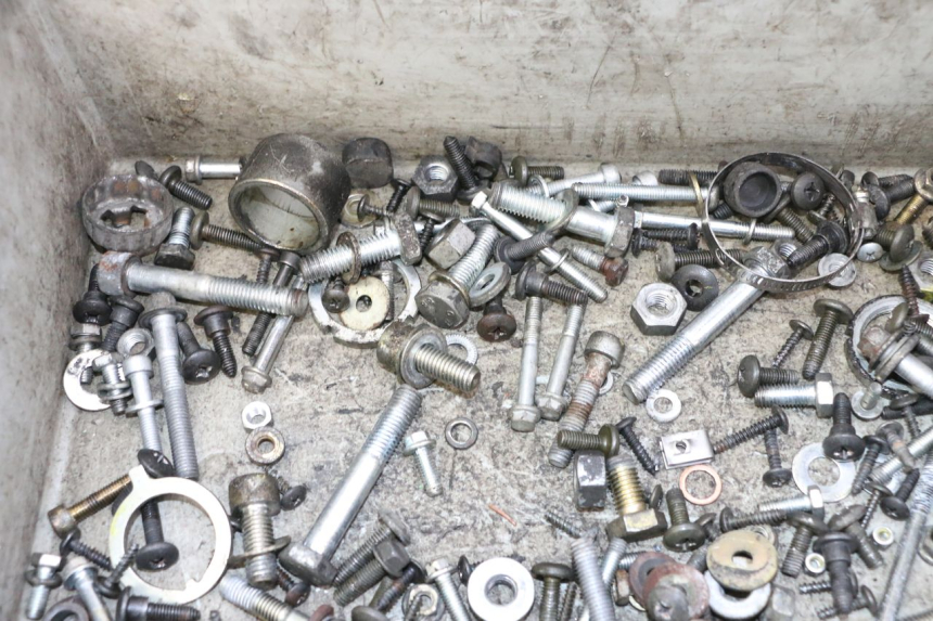 photo de BOLSA DE TORNILLERÍA TORNILLO PIAGGIO X9 EVOLUTION 125 (2003 - 2007) - Zoom estado de uso