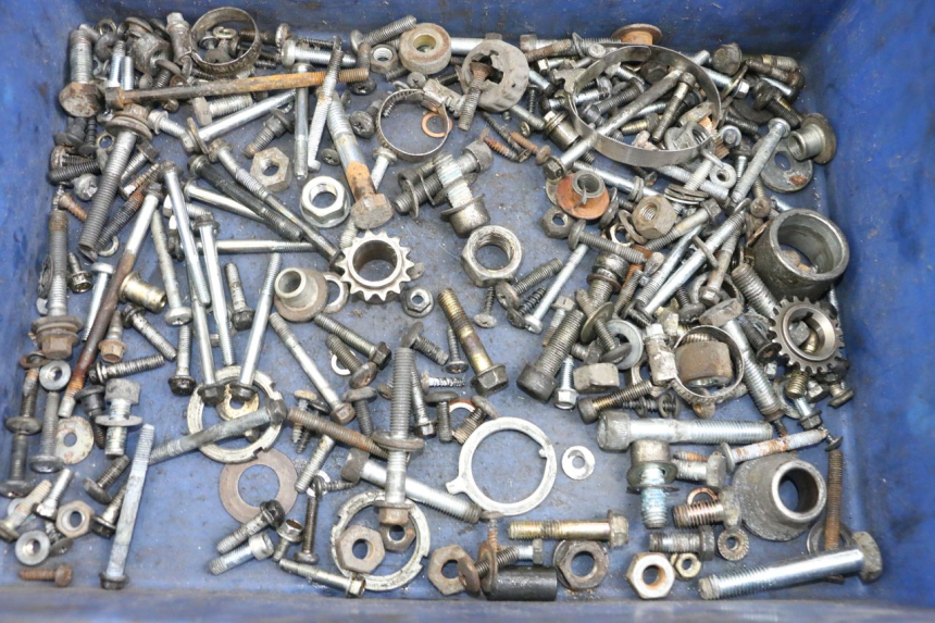 photo de BOLSA DE TORNILLERÍA TORNILLO PIAGGIO X9 125 (2000 - 2003) - Detalle de la pieza