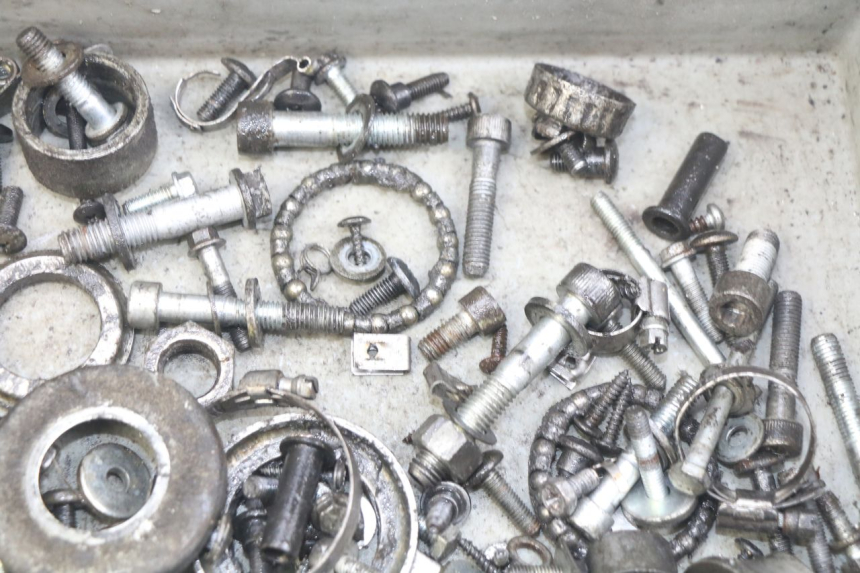 photo de BOLSA DE TORNILLERÍA TORNILLO PIAGGIO XEVO - X EVO 125 (2007 - 2017) - Zoom estado de uso