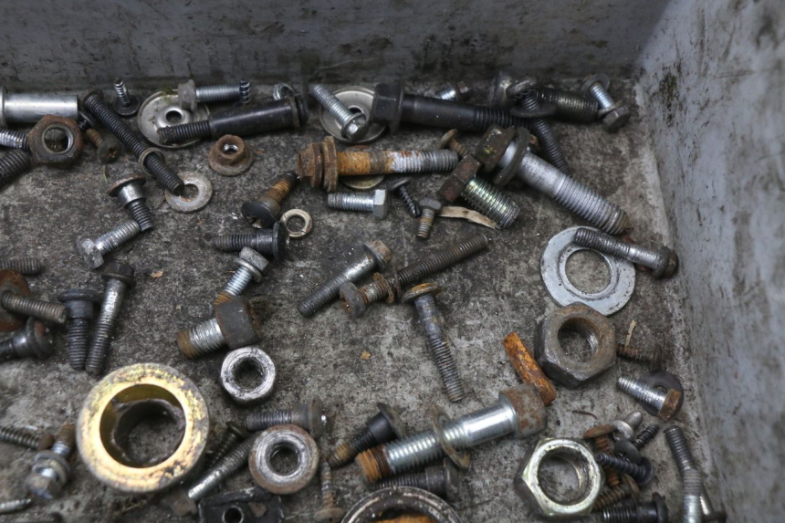 photo de BOLSA DE TORNILLERÍA TORNILLO PIAGGIO XEVO - X EVO 125 (2007 - 2017) - Zoom estado de uso