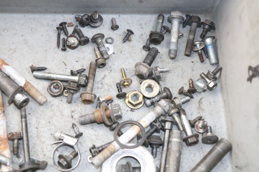 photo de BOLSA DE TORNILLERÍA TORNILLO YAMAHA YP MAJESTY 125 (2007 - 2010) - Zoom estado de uso