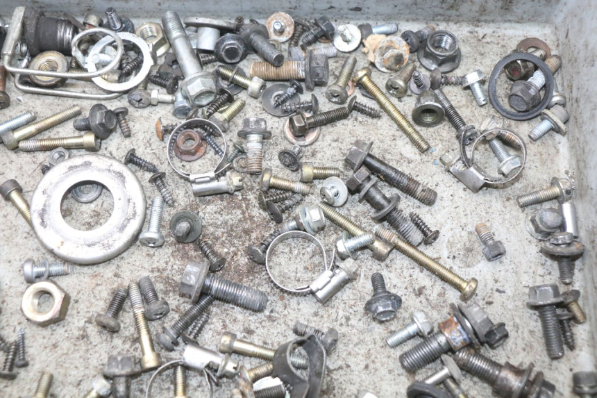 photo de BOLSA DE TORNILLERÍA TORNILLO YAMAHA YP MAJESTY 125 (2002 - 2006) - Zoom estado de uso