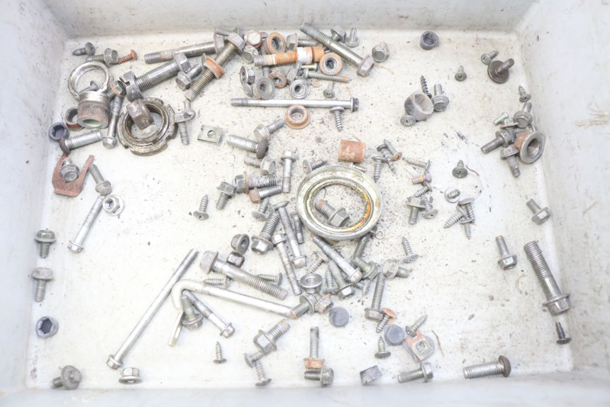 photo de BOLSA DE TORNILLERÍA TORNILLO YIYING YY50QT-10 50 (2007 - 2022) - Vista principal