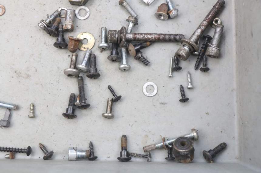 photo de TORNILLOS PIAGGIO ZIP 4T 50 (2006 - 2017) - Zoom estado de uso