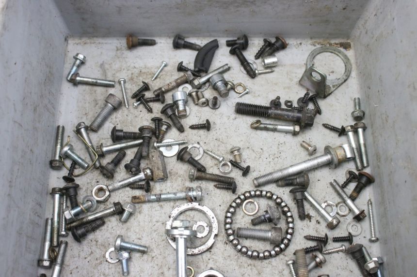 photo de BOLSA DE TORNILLERÍA TORNILLO PIAGGIO ZIP 4T 50 (2018 - 2020) - Zoom estado de uso