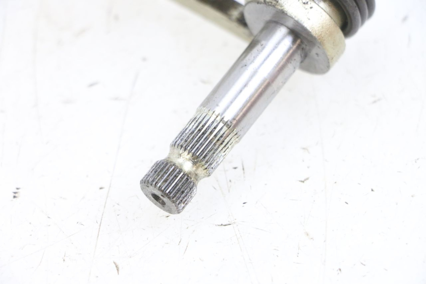 photo de CAMBIO MV AGUSTA BRUTALE R WALLY 910 (2008 - 2008) - Primer plano técnico