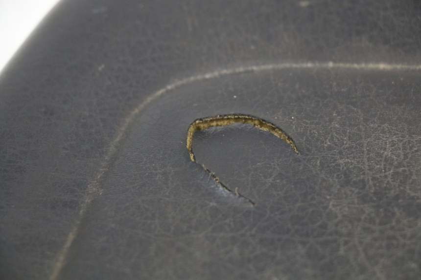 photo de ASIENTO TRASERO YAMAHA YP MAJESTY 125 (2002 - 2006) - Detalles de los puntos de fijación