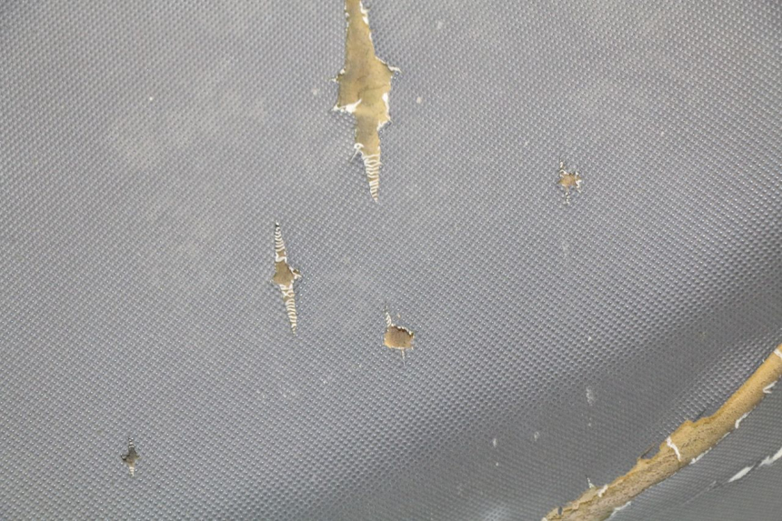 photo de ASIENTO ERIDER CARGO 1 (2009 - 2018) - Otra vista del artículo