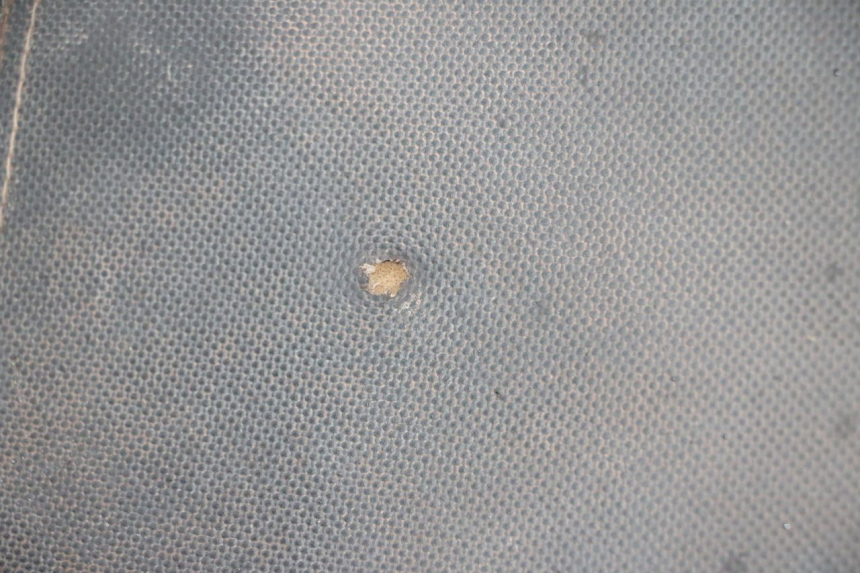 photo de ASIENTO LONGJIA DIGITA 4T 50 (2019 - 2022) - Primer plano de alta resolución