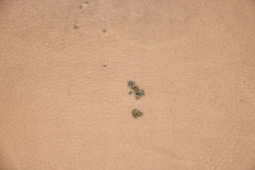 photo de ASIENTO SEGWAY NINEBOT E125S 1 (2022 - 2026) - Vista principal