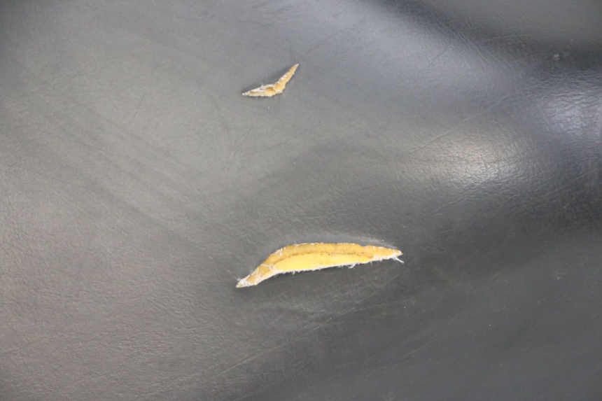 photo de ASIENTO PEUGEOT ELYSTAR 50 (2002 - 2014) - Inspección visual detallada