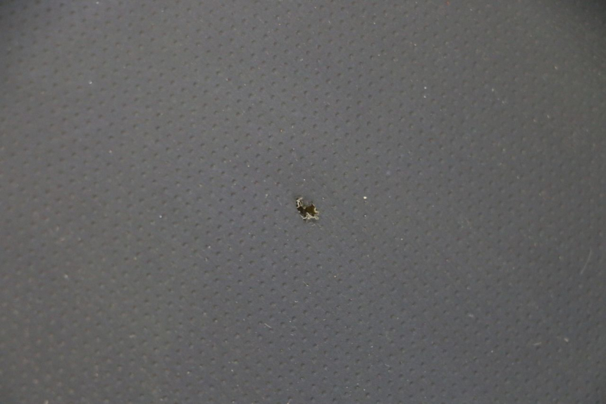 photo de ASIENTO STAHO FH 50 (2018 - 2019) - Vista general del producto