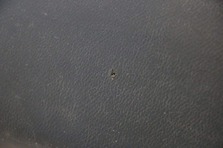 photo de ASIENTO PEUGEOT LUDIX ONE 50 (2004 - 2013) - Otra perspectiva