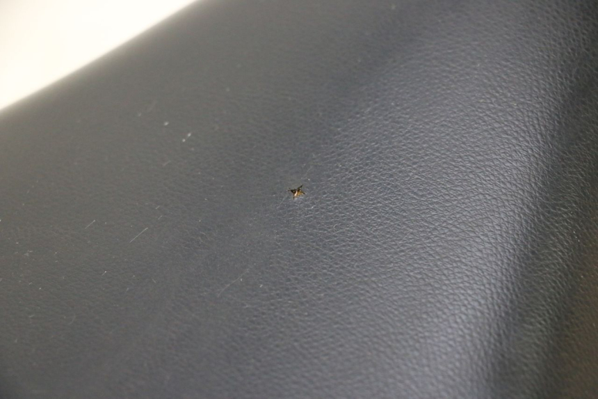 photo de ASIENTO PEUGEOT LUDIX SNAKE 2T 50 (2004 - 2014) - Primer plano técnico