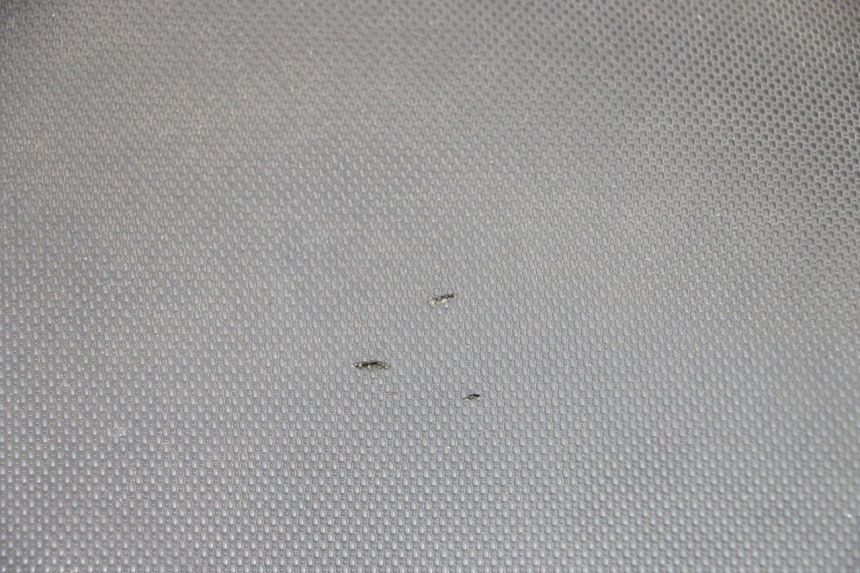 photo de ASIENTO MBK MACH G AC 50 (2002 - 2014) - Zoom sobre los componentes