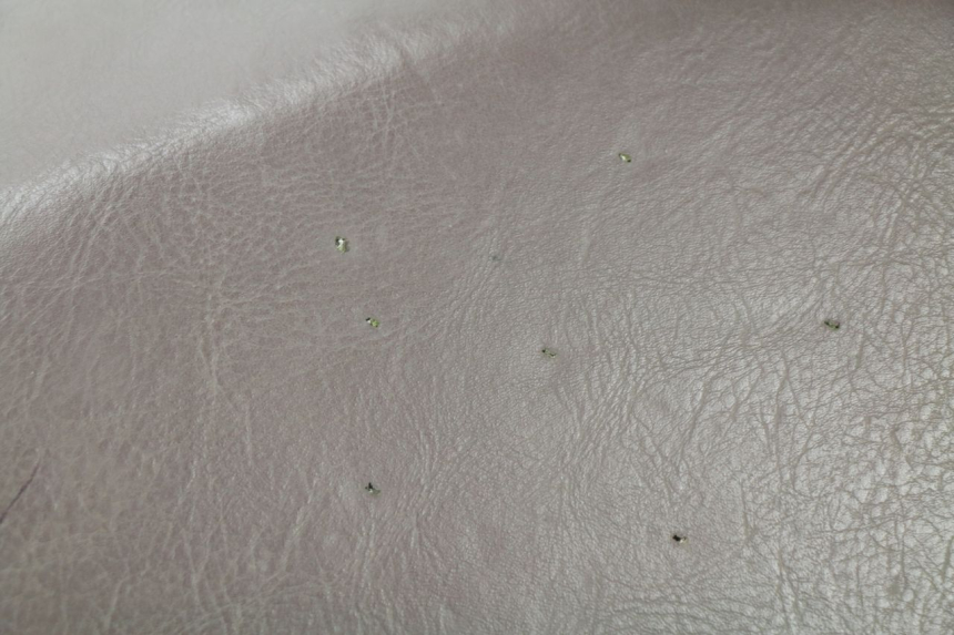 photo de ASIENTO SYM MIO 50 (2005 - 2010) - Primer plano de alta resolución