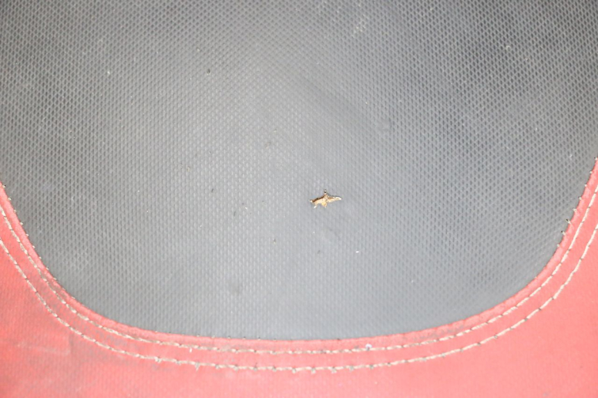 photo de ASIENTO PIAGGIO NEW TYPHOON 50 (2018 - 2021) - Estado de la superficie y material