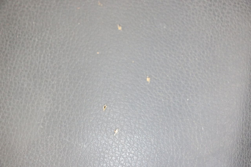 photo de ASIENTO SYM ORBIT 2 4T 50 (2008 - 2017) - Otra perspectiva