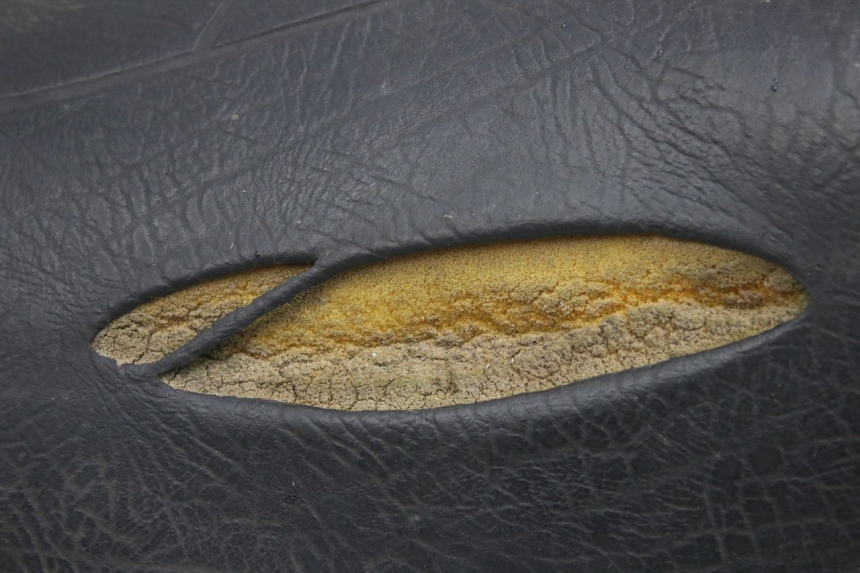 photo de ASIENTO APRILIA SCARABEO 100 (2003 - 2012) - Otra vista del artículo