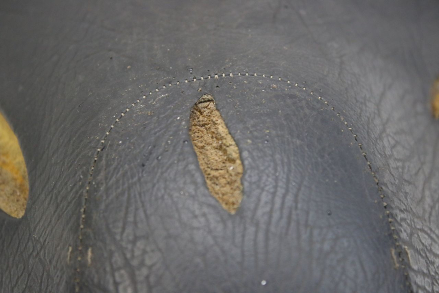 photo de ASIENTO APRILIA SCARABEO 100 (2003 - 2012) - Características distintivas