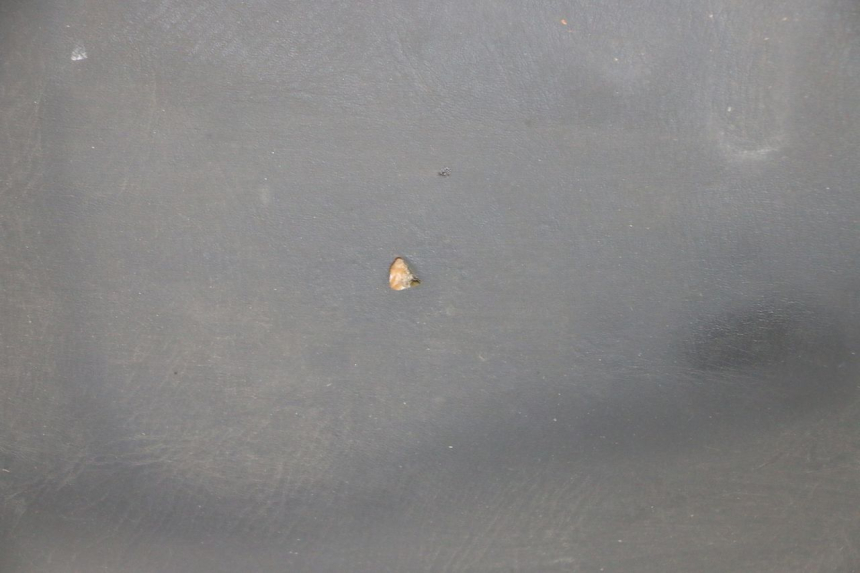 photo de ASIENTO HONDA SCV LEAD 100 (2003 - 2007) - Ángulo de visión alternativo