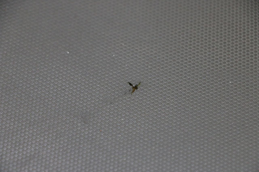 photo de ASIENTO SUZUKI GSF S BANDIT 600 (2000 - 2004) - Otra vista del artículo