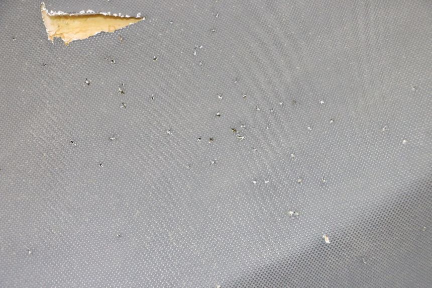 photo de ASIENTO TNT MOTOR BOSTON 4T 50 (2018 - 2025) - Zoom estado de uso