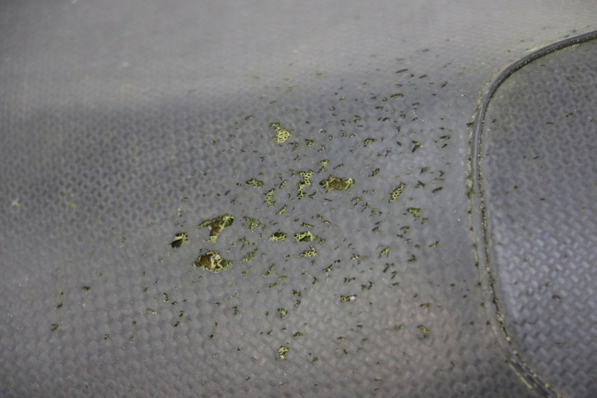 photo de ASIENTO YAMAHA AEROX 50 (1997 - 2006) - Detalles de los puntos de fijación