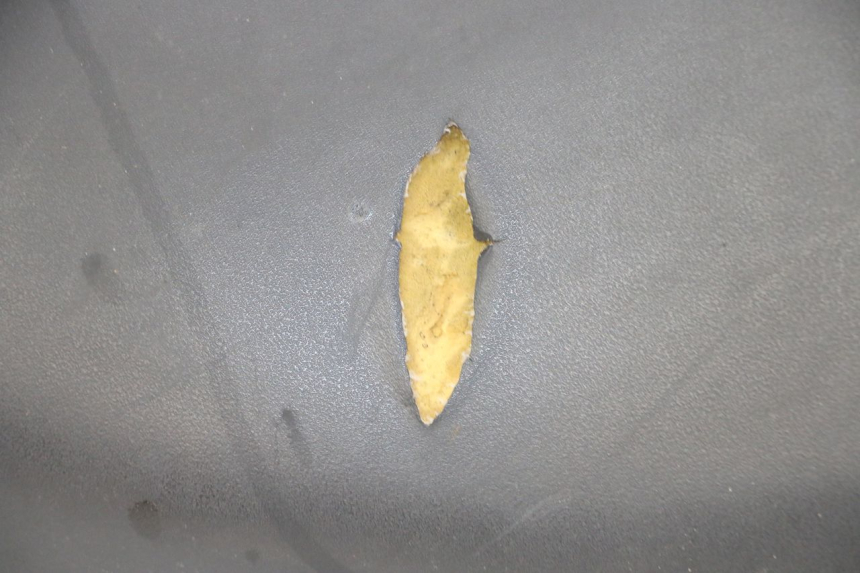 photo de ASIENTO YAMAHA NEOS NEO'S 4T 50 (2008 - 2016) - Características distintivas