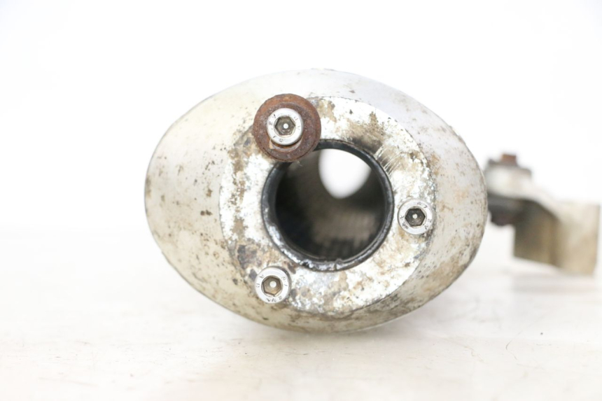 photo de ESCAPE KTM SUPERENDURO R 950 (2005 - 2009) - Detalle de la pieza