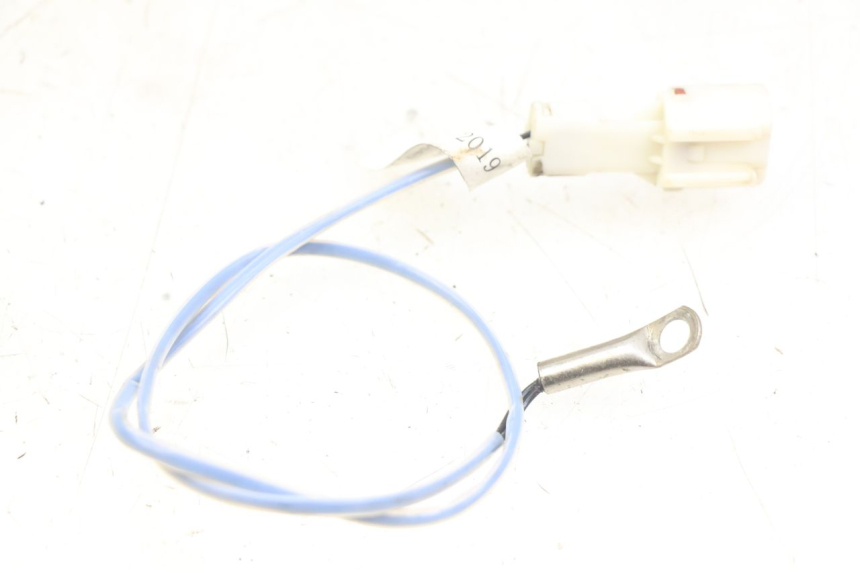 photo de SONDA ORCAL CAVARO 4T 50 (2019 - 2023) - Vista principal