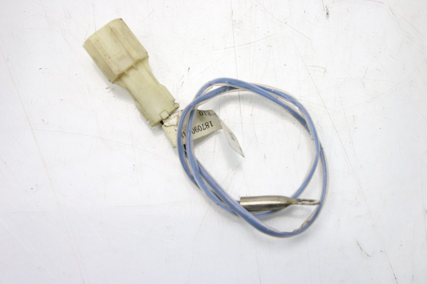 photo de SONDA LONGJIA DIGITA 4T 50 (2019 - 2022) - Vista principal