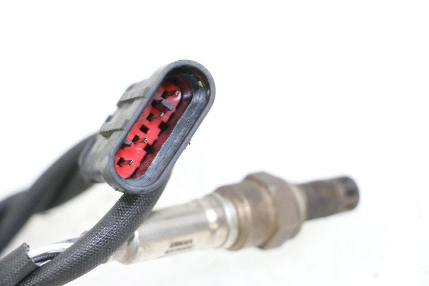 photo de SONDA LAMBDA LONGJIA DIGITA 4T 50 (2019 - 2022) - Zoom estado de uso