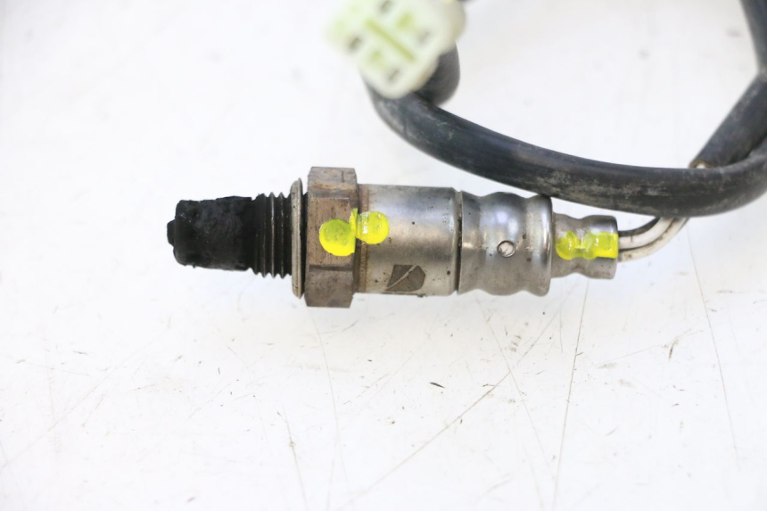 photo de SONDA LAMBDA MASH DIRT TRACK 50 (2018 - 2020) - Primer plano técnico