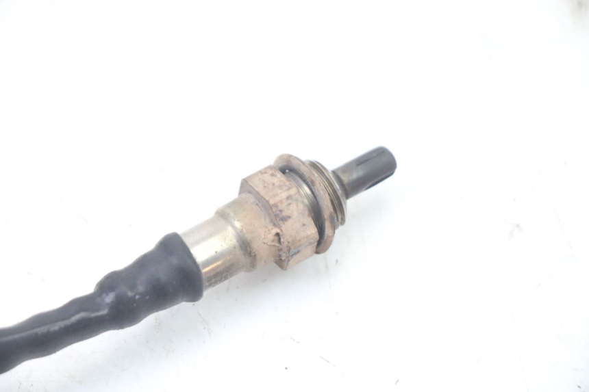 photo de SONDA LAMBDA JM MOTORS OLDIES GT 4T 50 (2018 - 2025) - Otra perspectiva