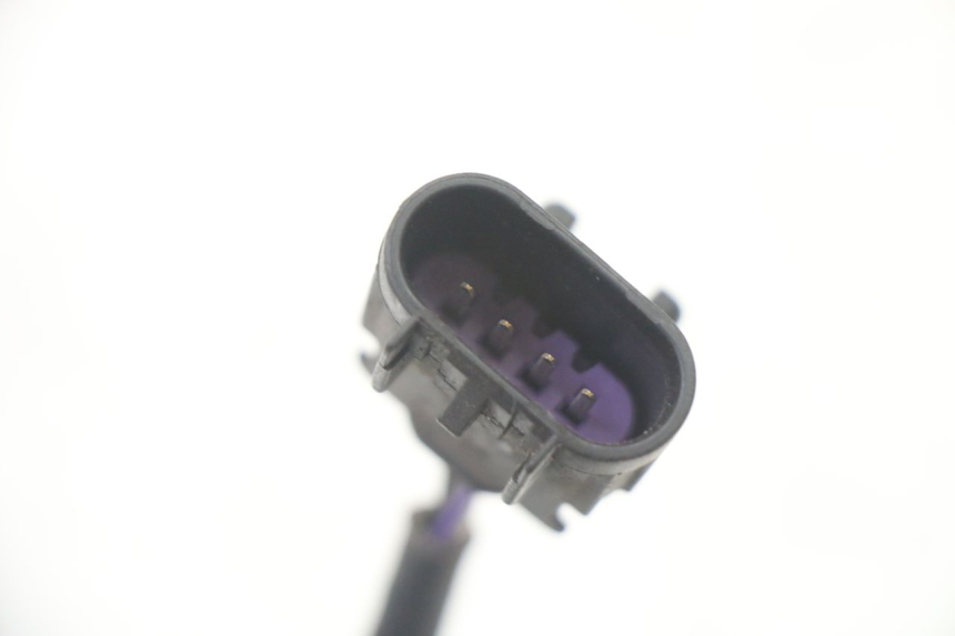 photo de SONDA LAMBDA JM MOTORS OLDIES GT 4T 50 (2018 - 2025) - Primer plano técnico