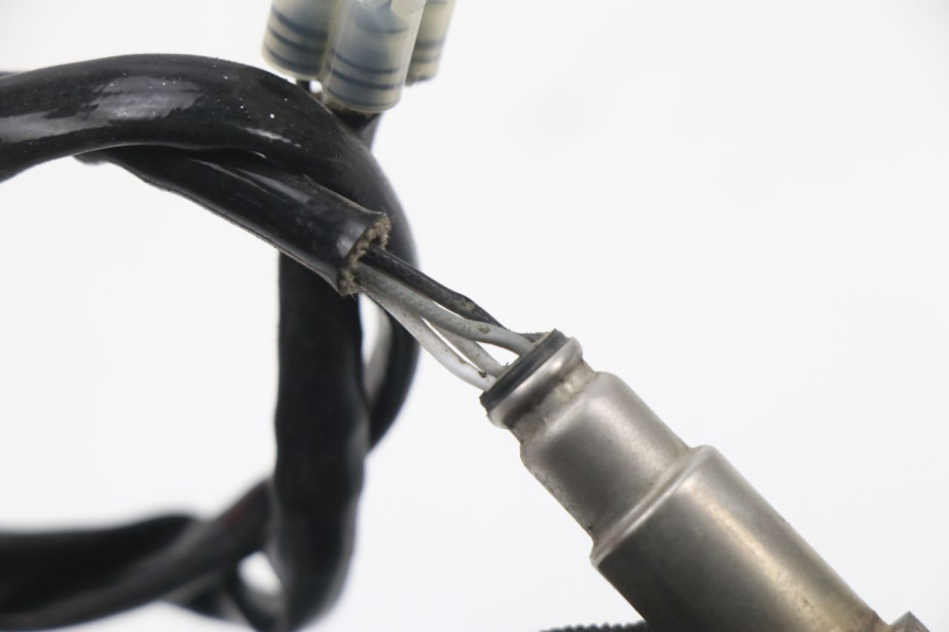 photo de SONDA LAMBDA JM MOTORS SUNNY 50 (2017 - 2020) - Zoom estado de uso