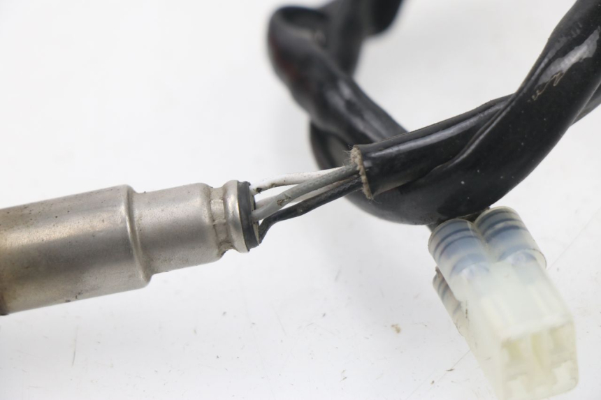 photo de SONDA LAMBDA JM MOTORS SUNNY 50 (2017 - 2020) - Otra perspectiva