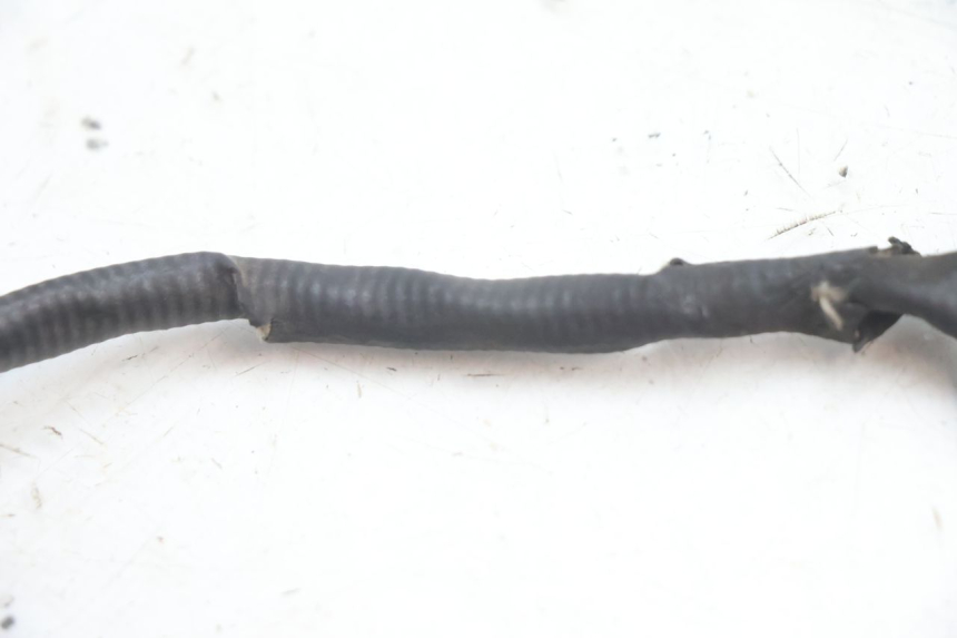 photo de SONDA LAMBDA PIAGGIO ZIP 4T 50 (2018 - 2020) - Otra perspectiva