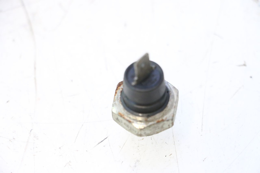 photo de SENSOR PRESION ACEITE CAN-AM SPYDER RS 1000 (2008 - 2012) - Zoom estado de uso
