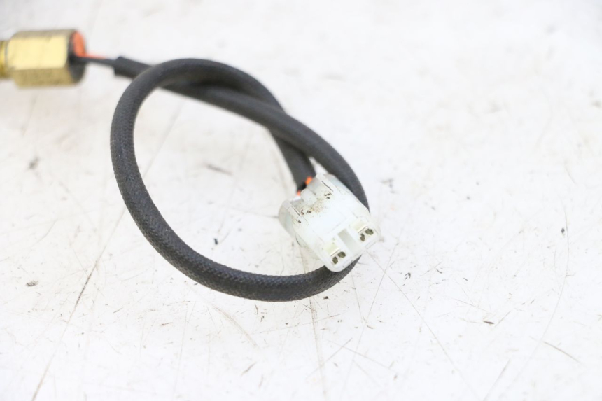 photo de SENSOR DE TEMPERATURA DEL MOTOR KEEWAY K-LIGHT KLIGHT 125 (2018 - 2025) - Zoom estado de uso