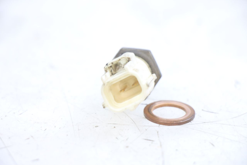 photo de SONDA DE TEMPERATURA DE AGUA YAMAHA NEOS NEO'S 4T 50 (2008 - 2016) - Zoom estado de uso