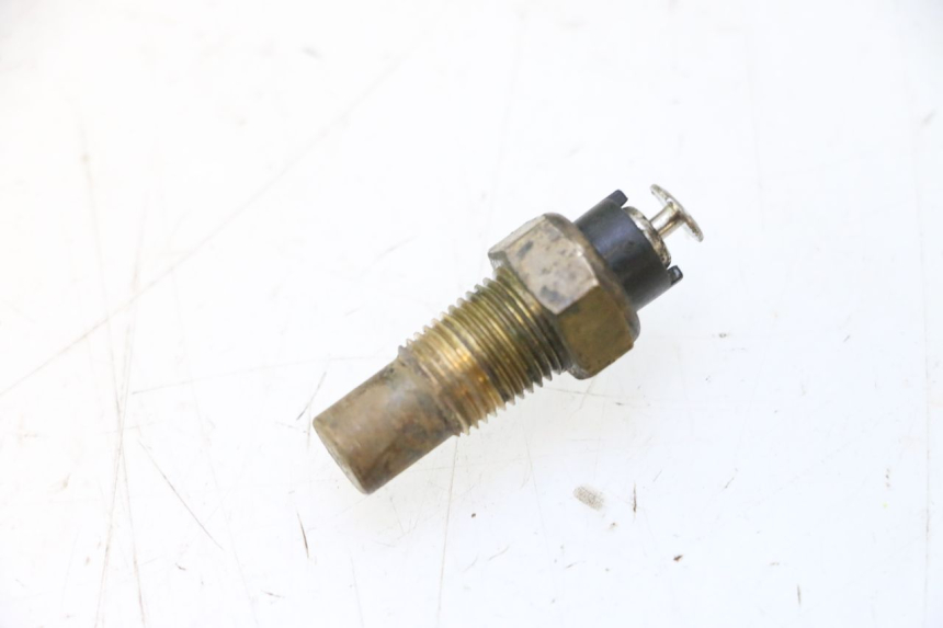 photo de SONDA DE TEMPERATURA DE AGUA YAMAHA YP MAJESTY 125 (1998 - 2001) - Vista principal