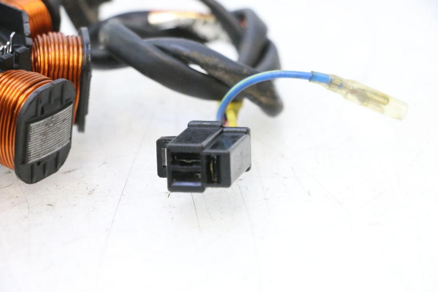 photo de STATOR KYMCO AGILITY FR 2T 50 (2012 - 2017) - Primer plano técnico