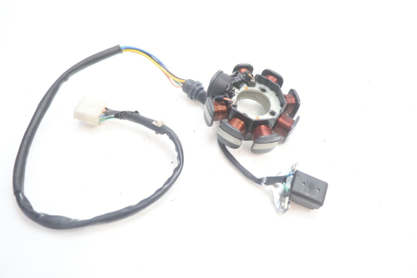 photo de STATOR MASH DIRT TRACK 50 (2018 - 2020) - Primer plano técnico