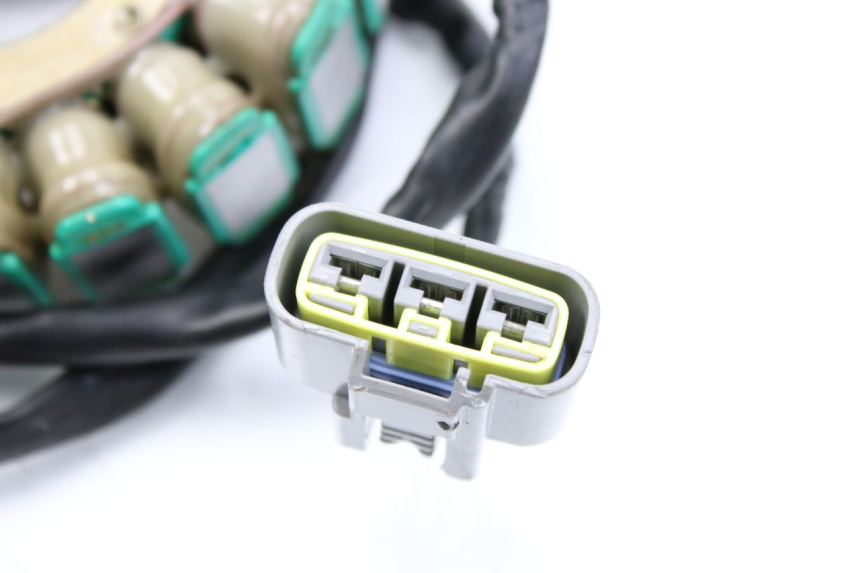 photo de STATOR BMW F GS K81 850 (2018 - 2023) - Zoom estado de uso